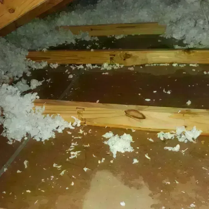 Attic Water Damage in Mathews, VA